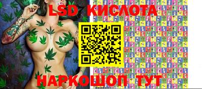 ALPHA PVP Кингисепп