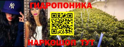 дживик Кимры